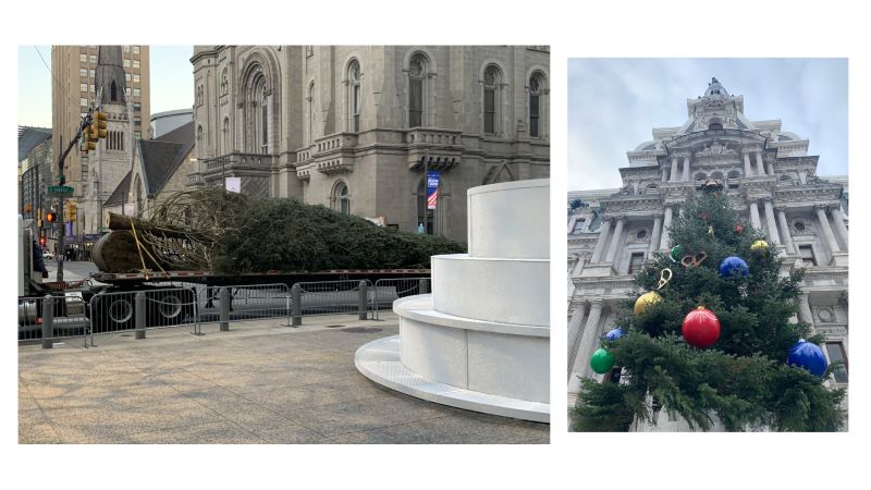 A tall Christmas tree being carried to the pedestal in front of City Hall Philadelphia, and a photo of the tree fully decorated and standing in front of City Hall.