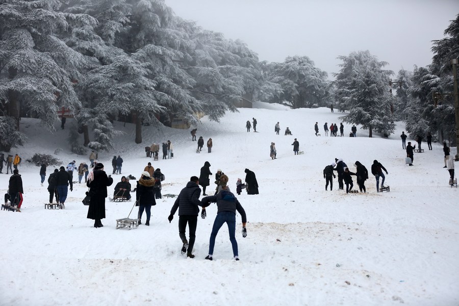 People enjoy a snowy hillside surrounded by snow-covered trees, with groups sledding, walking, and playing in the snow under an overcast sky.