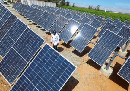 a scientist outside with many solar panels arranged in rows
