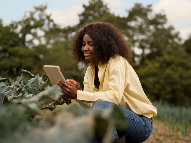 A Black woman crouching down to monitor crops while looking at a tablet