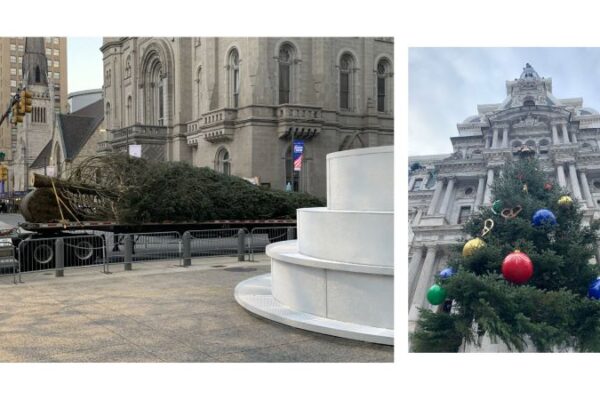 A tall Christmas tree being carried to the pedestal in front of City Hall Philadelphia, and a photo of the tree fully decorated and standing in front of City Hall.