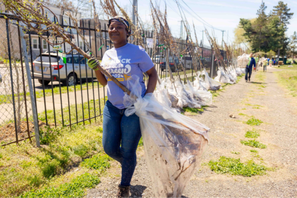 an African American woman volunteering by planting trees