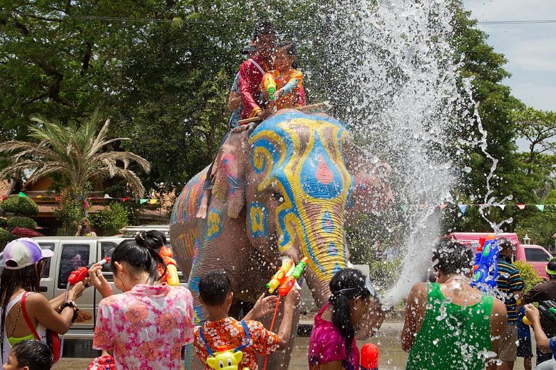 an elephant with decorative paint on its body splashing water on locals and touirsts