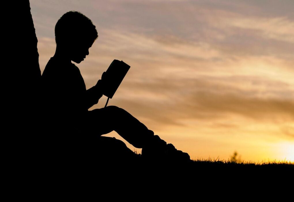 Education vs. Affordability: When Passion Collides With Practicality