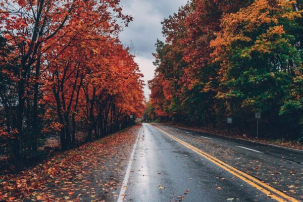 photo of a late autumn road with fall foliage