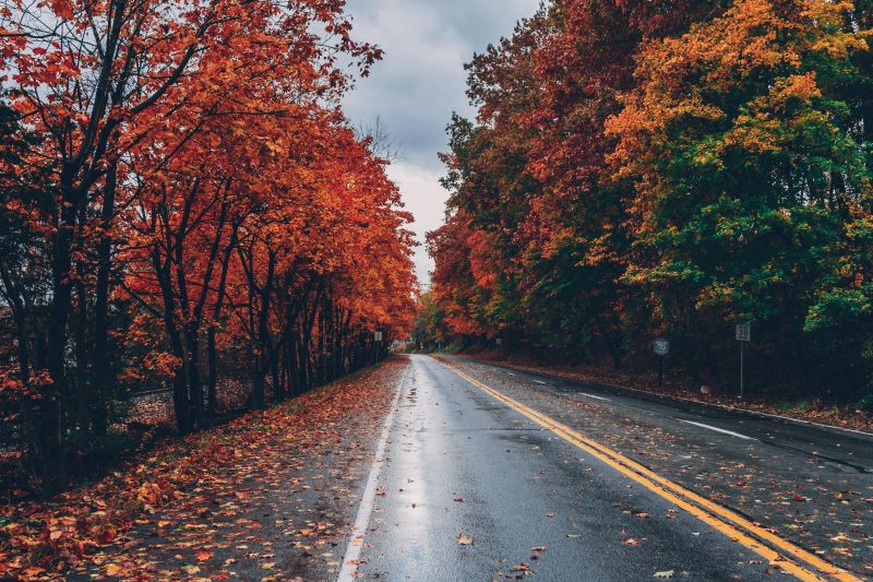 photo of a late autumn road with fall foliage