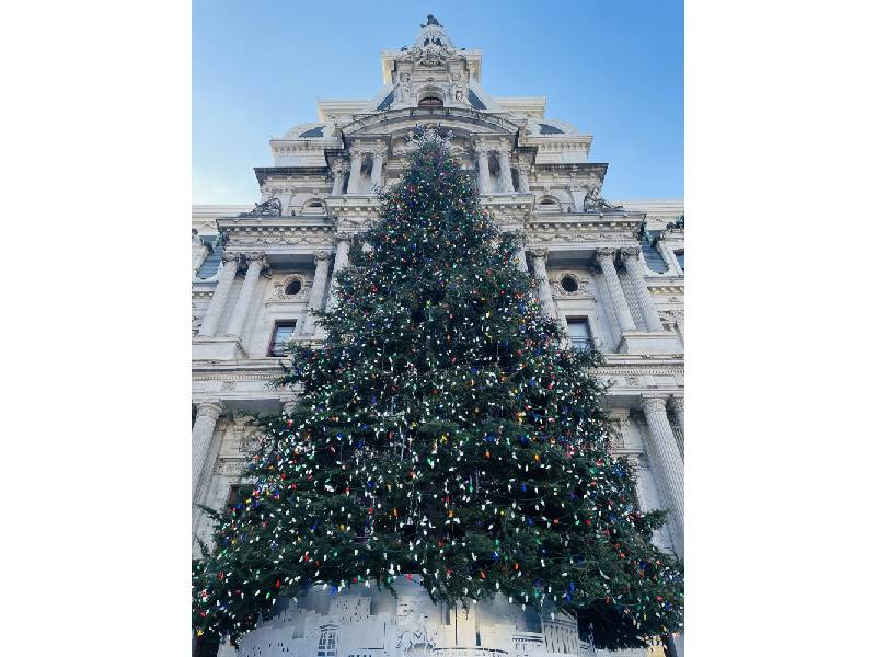 a towering Christmas tree in front of Philadelphia City Hall