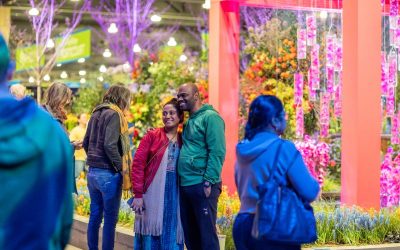 displays of flowers and plants at the Philadelphia Flower Show