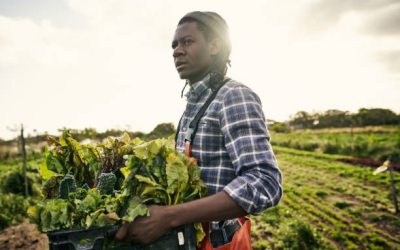 African man holding container of harvested crops