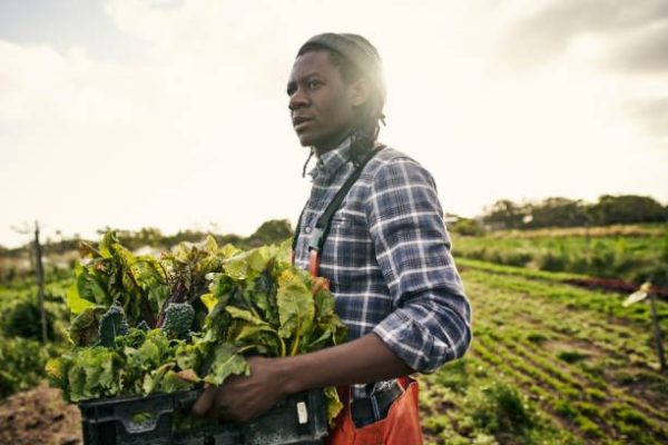 African man holding container of harvested crops
