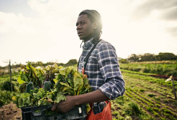 African man holding container of harvested crops