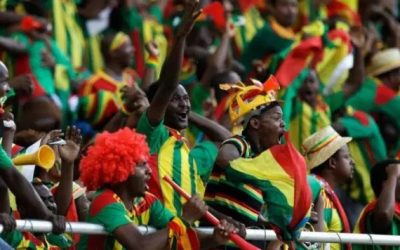 fans cheering at the World Cup
